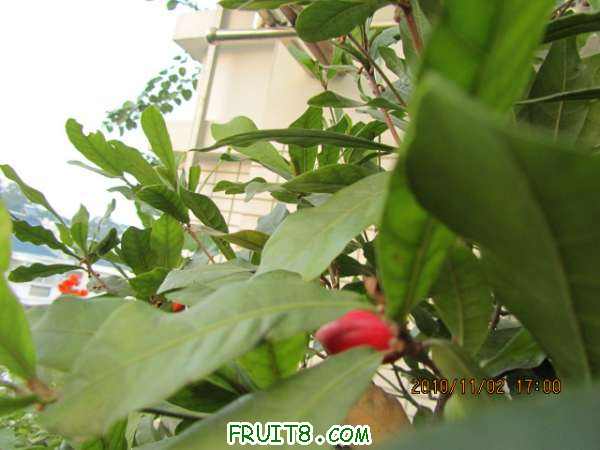 IMG_1188.JPG