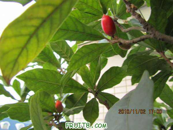 IMG_1187.JPG