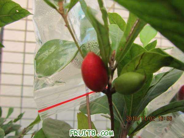 IMG_1167.JPG