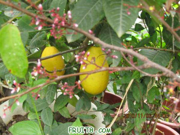 IMG_1727.JPG