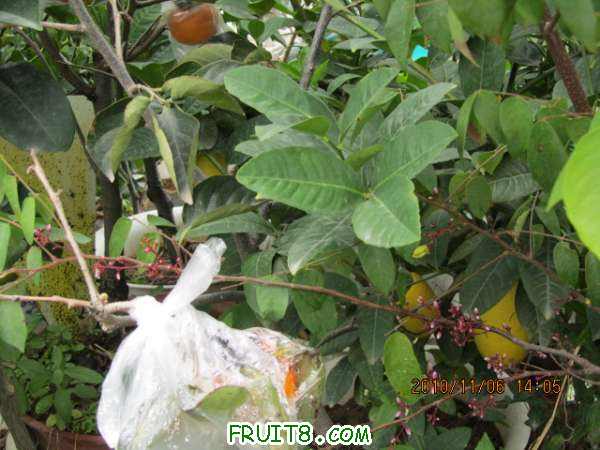 IMG_1726.JPG