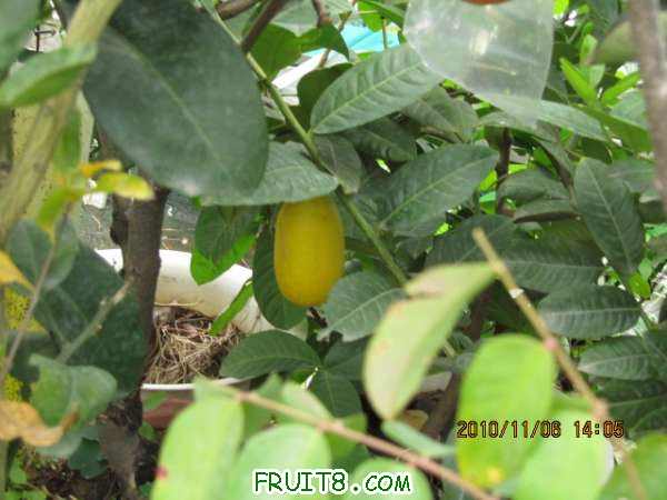 IMG_1728.JPG