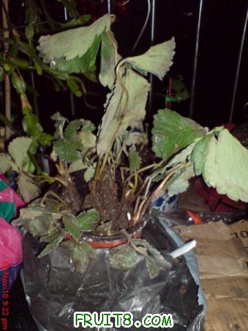 DSC05034.jpg