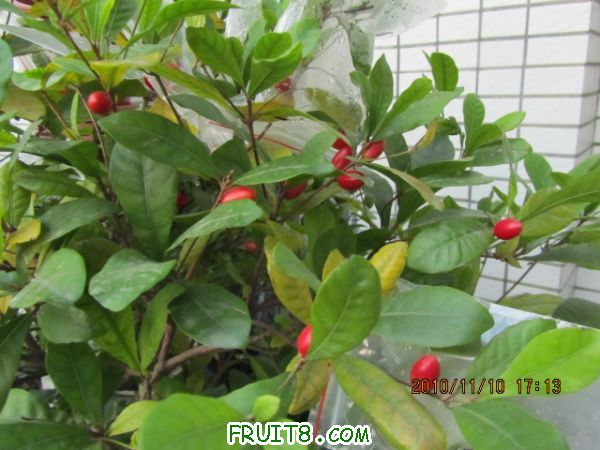IMG_2165.JPG