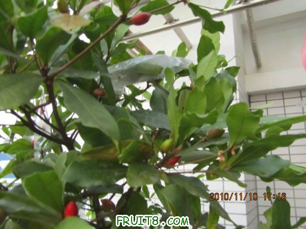 IMG_2174.JPG