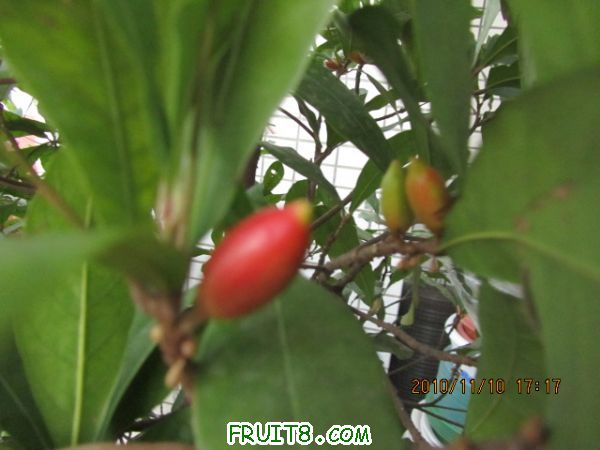 IMG_2178.JPG