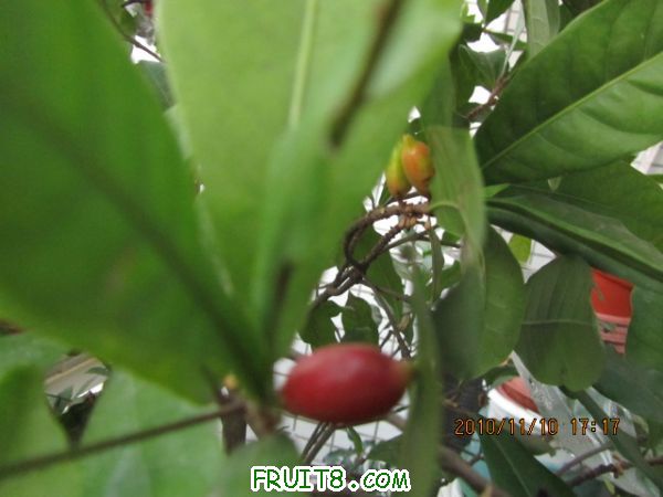 IMG_2177.JPG