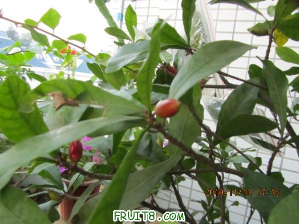 IMG_2176.JPG