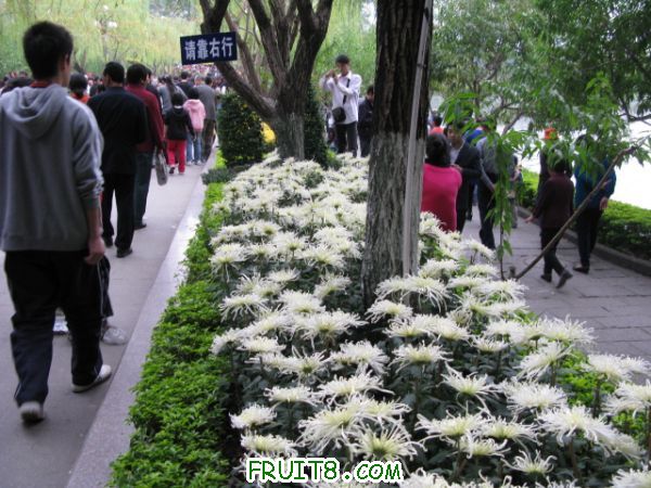 IMG_6387.JPG