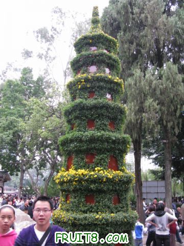 IMG_6355.JPG