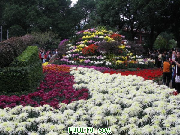 IMG_6378.JPG