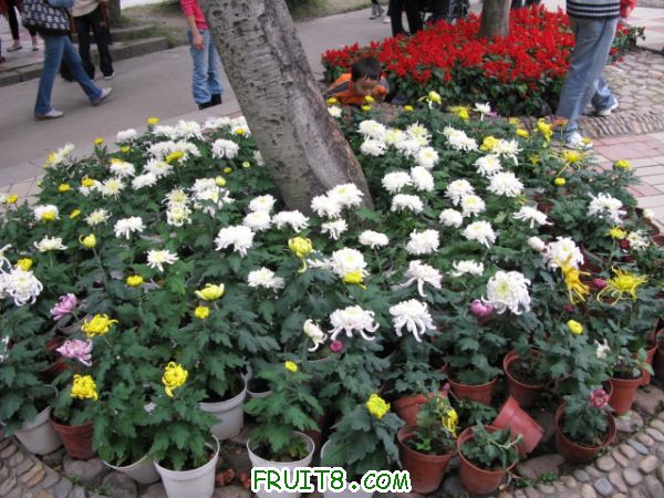 IMG_6291.JPG