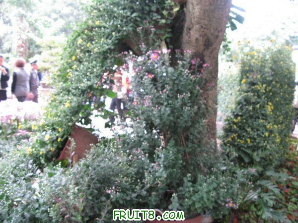 IMG_6248.JPG