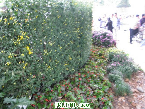 IMG_6249.JPG
