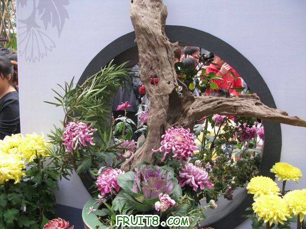 IMG_6091.JPG