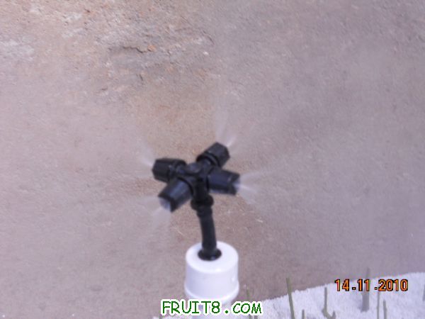 DSCN0778.jpg