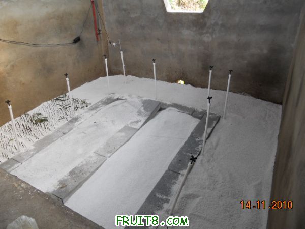 DSCN0781.jpg