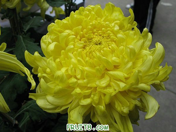 IMG_5943.JPG