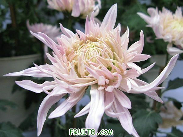 IMG_5978.JPG