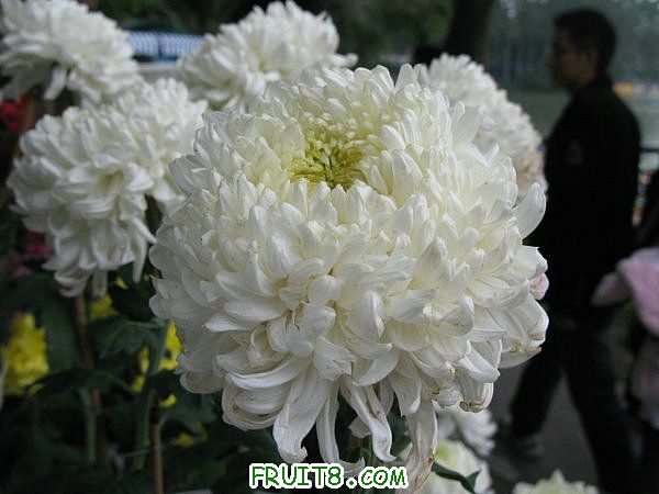 IMG_5990.JPG