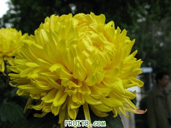 IMG_5989.JPG