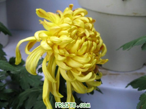 IMG_5998.JPG