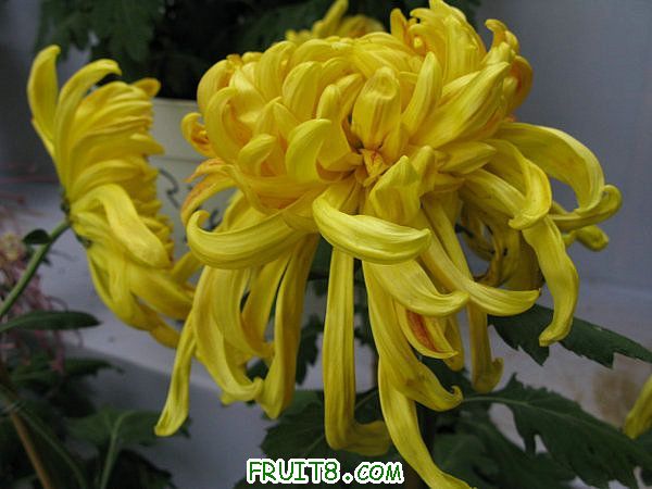 IMG_5997.JPG