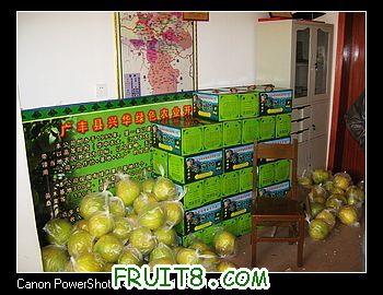 nEO_IMG_IMG_0012.jpg