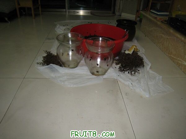 IMG_9809.600150K.jpg