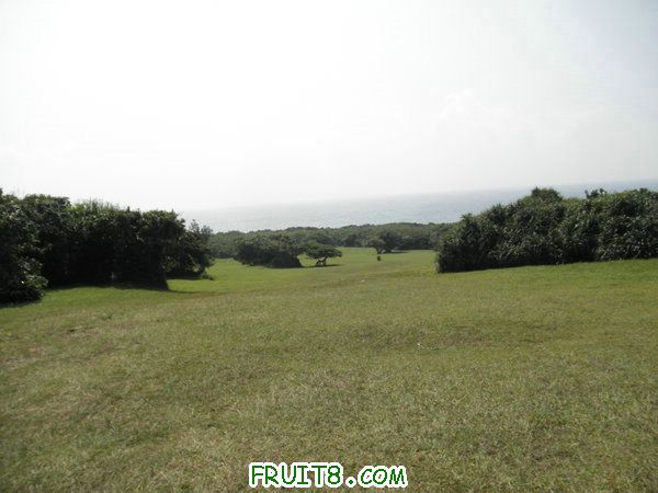 PA241704_1_1.JPG
