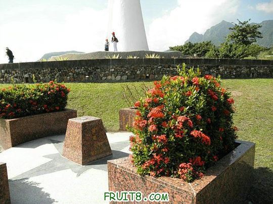 PA251717_1_1.JPG