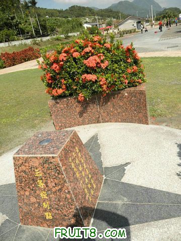 PA251720_1_1.JPG