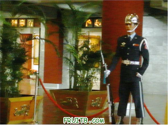 XFpicture3857.jpg