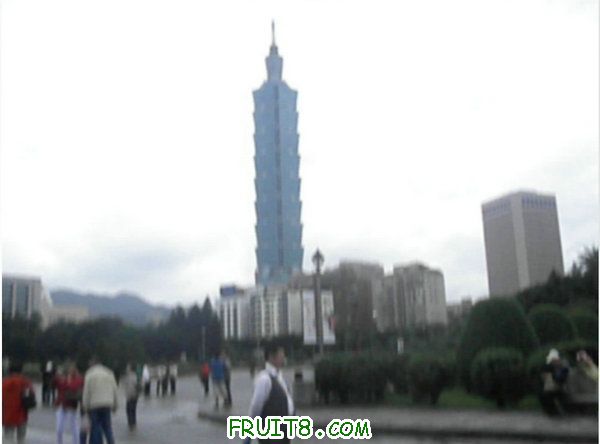 XFpicture3213.jpg