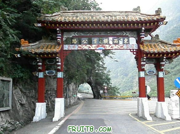 XFpicture1750.jpg