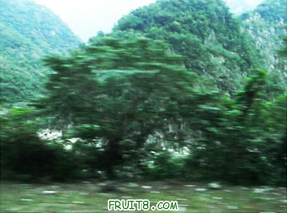 XFpicture2675.jpg
