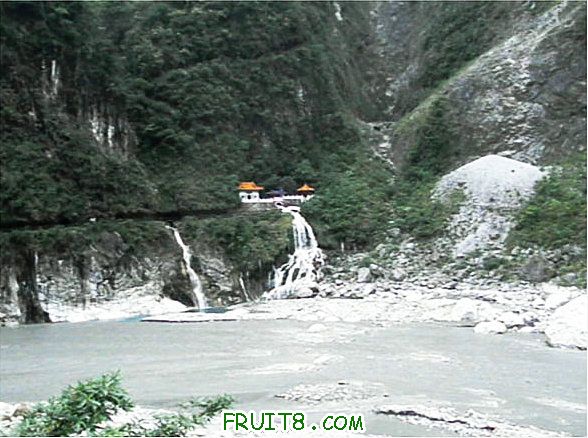 XFpicture2100.jpg