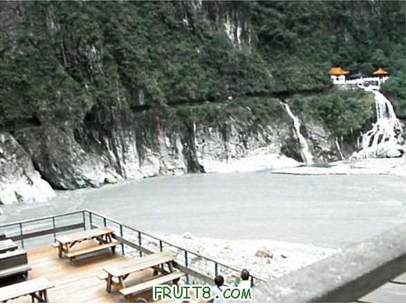XFpicture2208.jpg