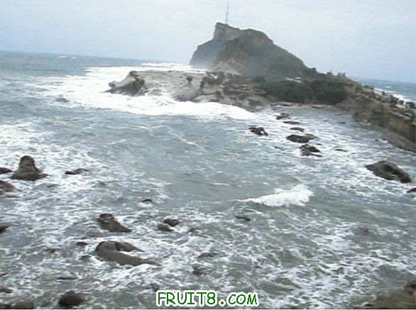 XFpicture2446.jpg