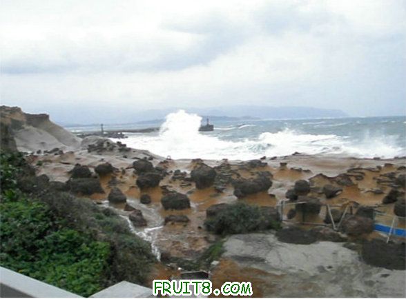 XFpicture2371.jpg