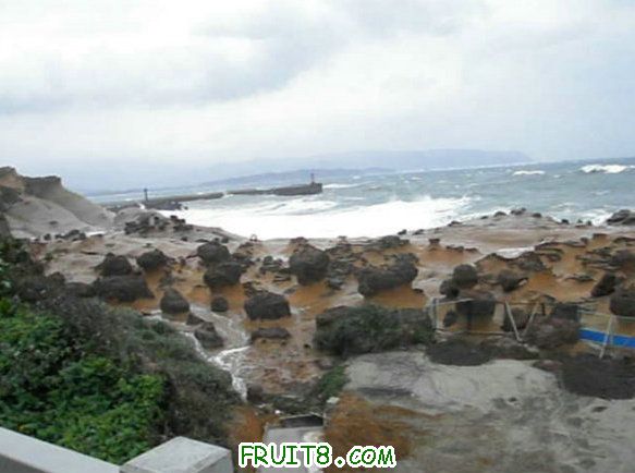 XFpicture2338.jpg