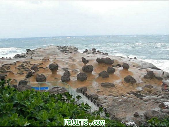 XFpicture2260.jpg