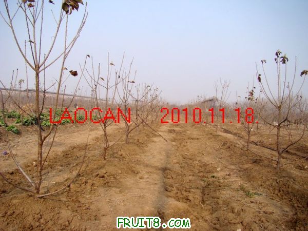 DSC09855.jpg