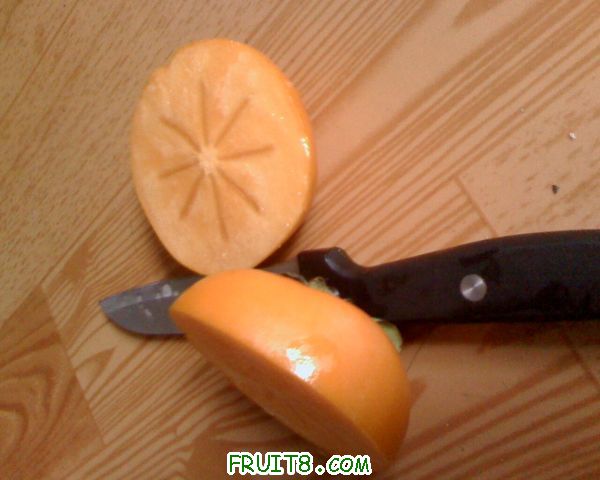 IMG1019140100.jpg