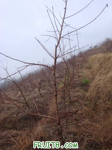 DSC09124.jpg