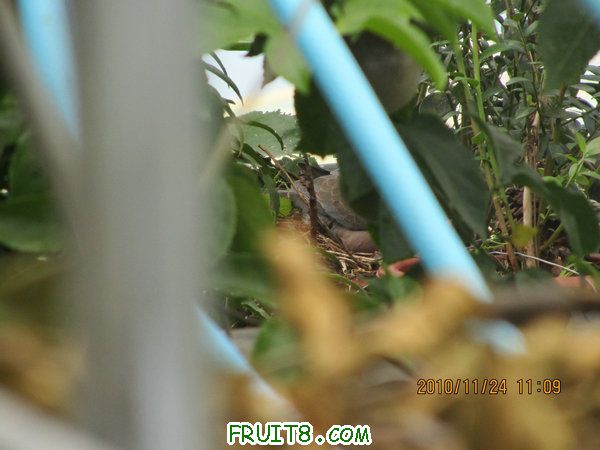 IMG_2548.JPG