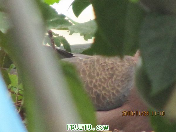 IMG_2549.JPG