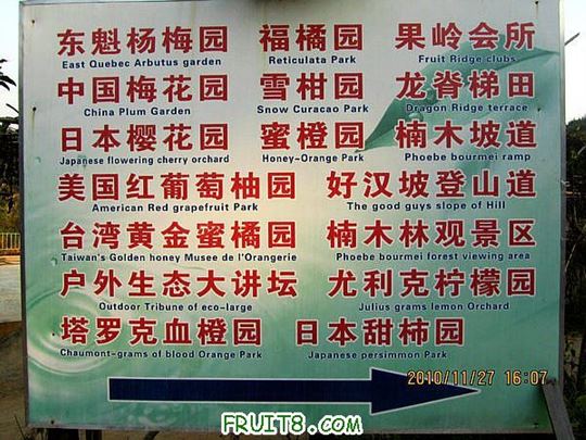 IMG_2774_1.JPG