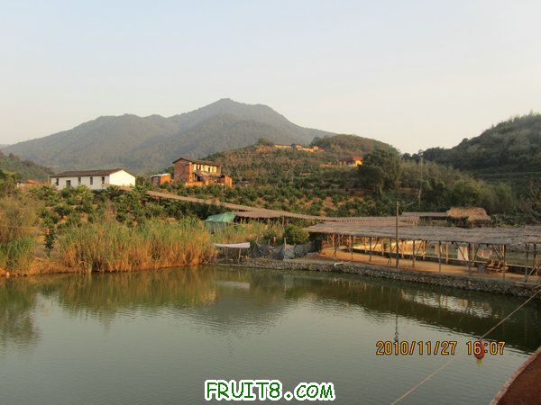 IMG_2777_1.JPG