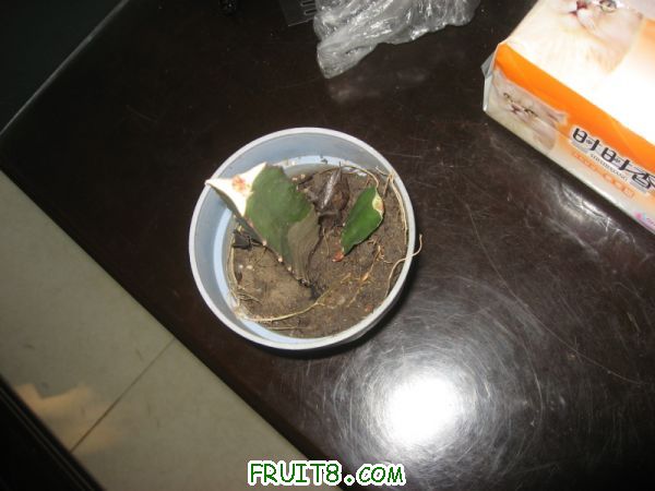 Сؽ